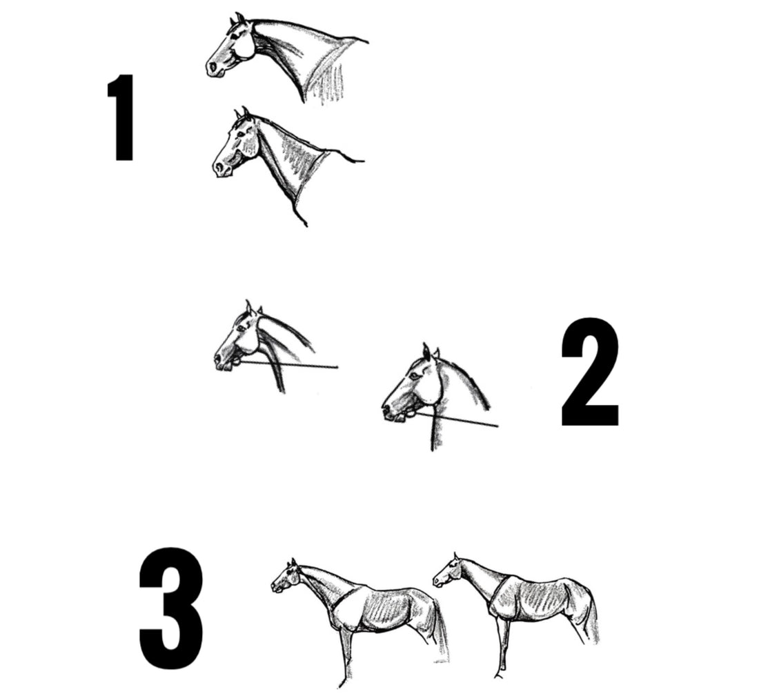 “DIFETTI” STRUTTURALI