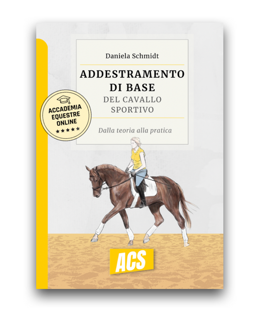 L'ADDESTRAMENTO DI BASE del cavallo sportivo