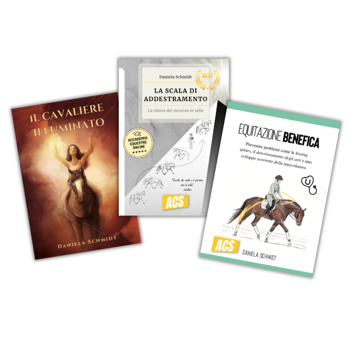 Bundle "illumination"