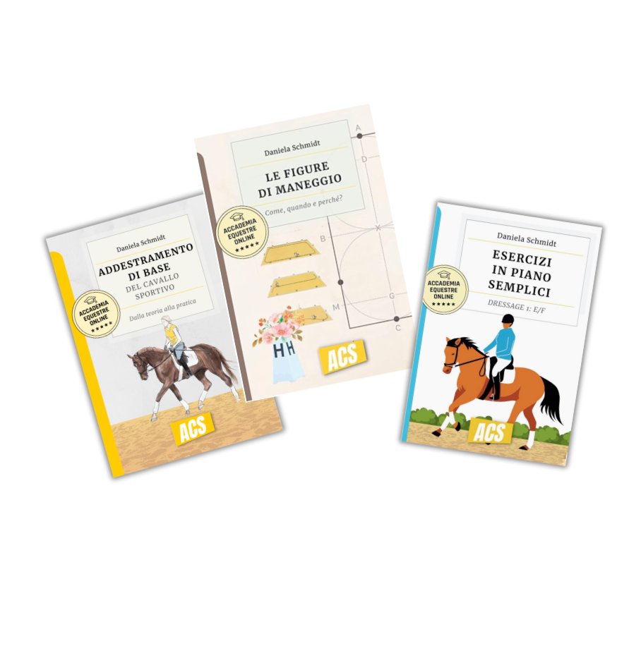 Bundle "pratica"