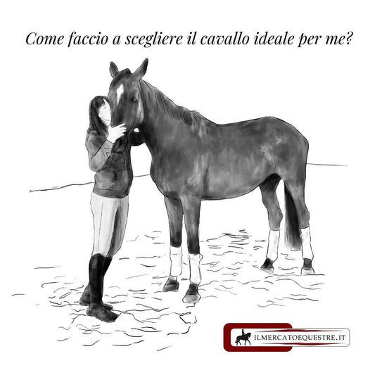 Come faccio a scegliere il cavallo ideale per me🐴 ?