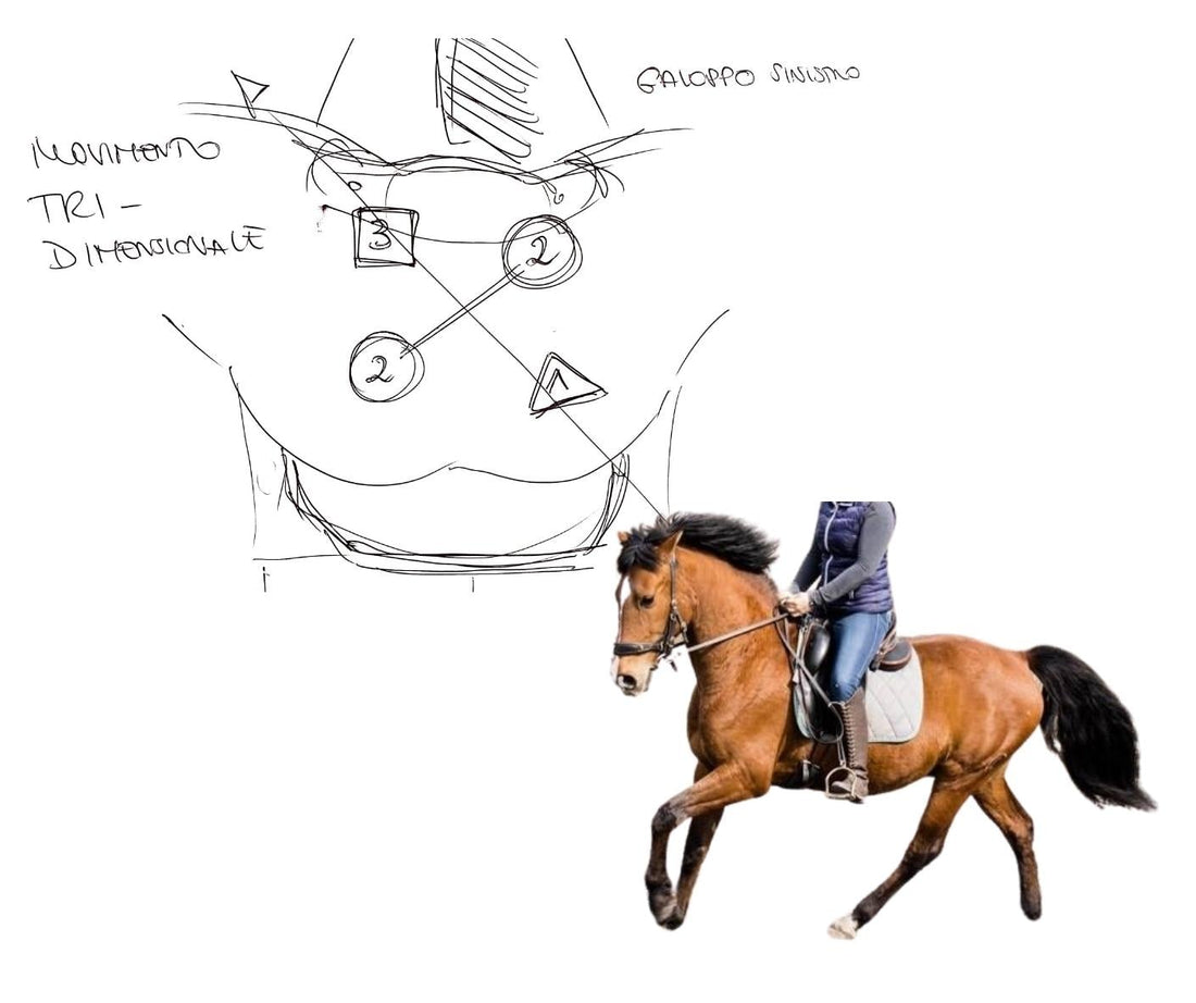 Perché non riusciamo a stare SEDUTI al GALOPPO? 🏇🏼