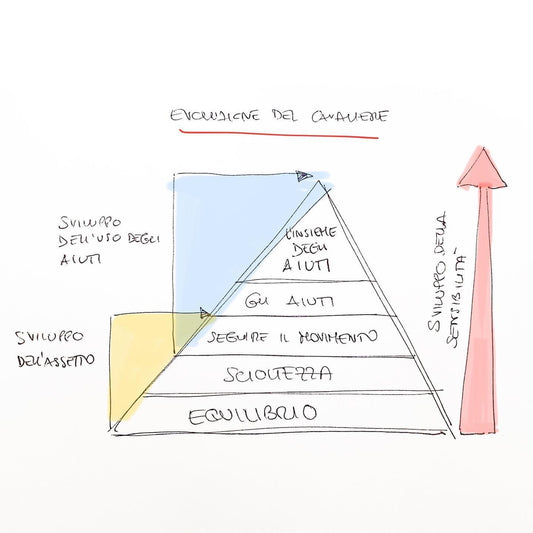 L’evoluzione del cavaliere