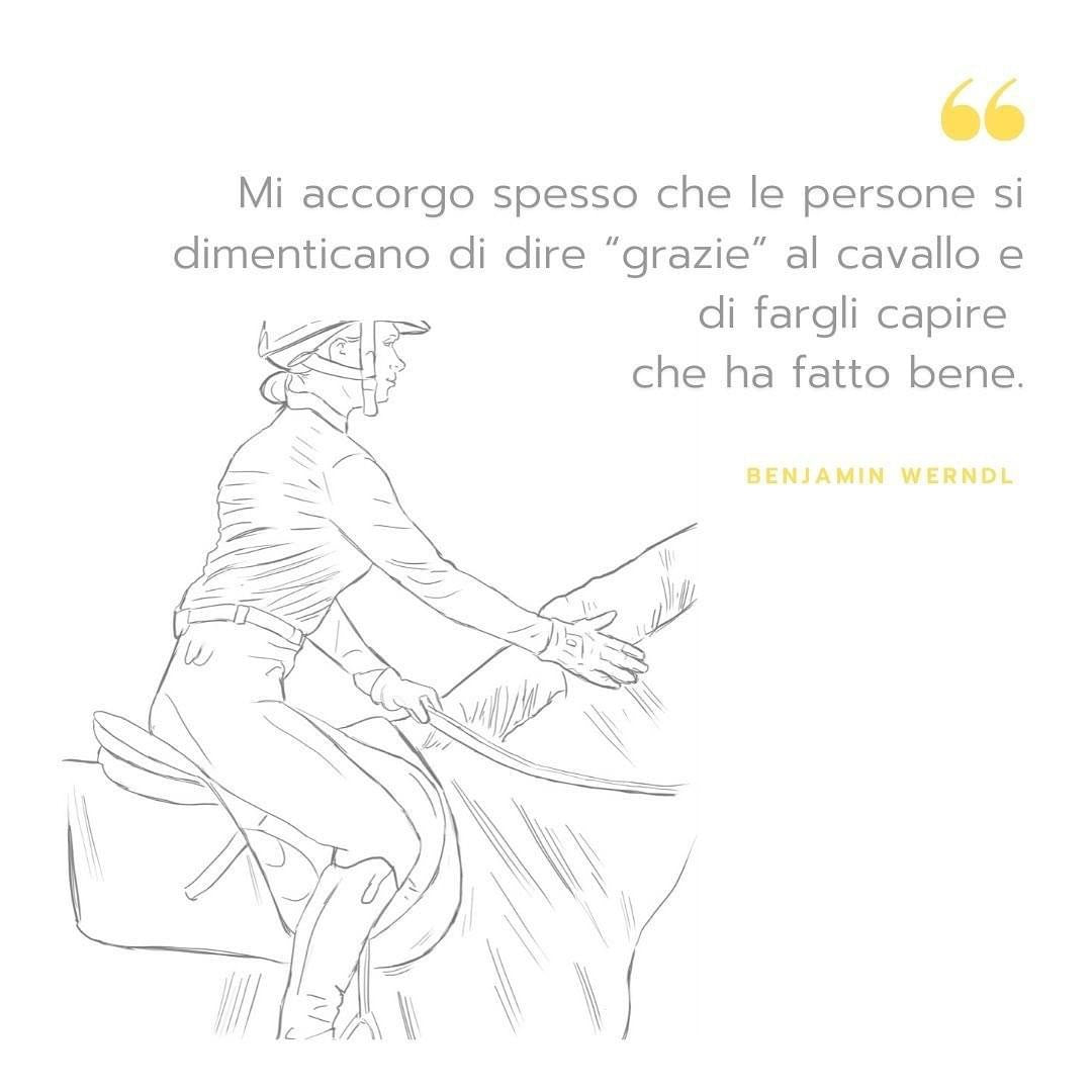 SPESSO CI DIMENTICHIAMO DI “RINGRAZIARE” IL CAVALLO