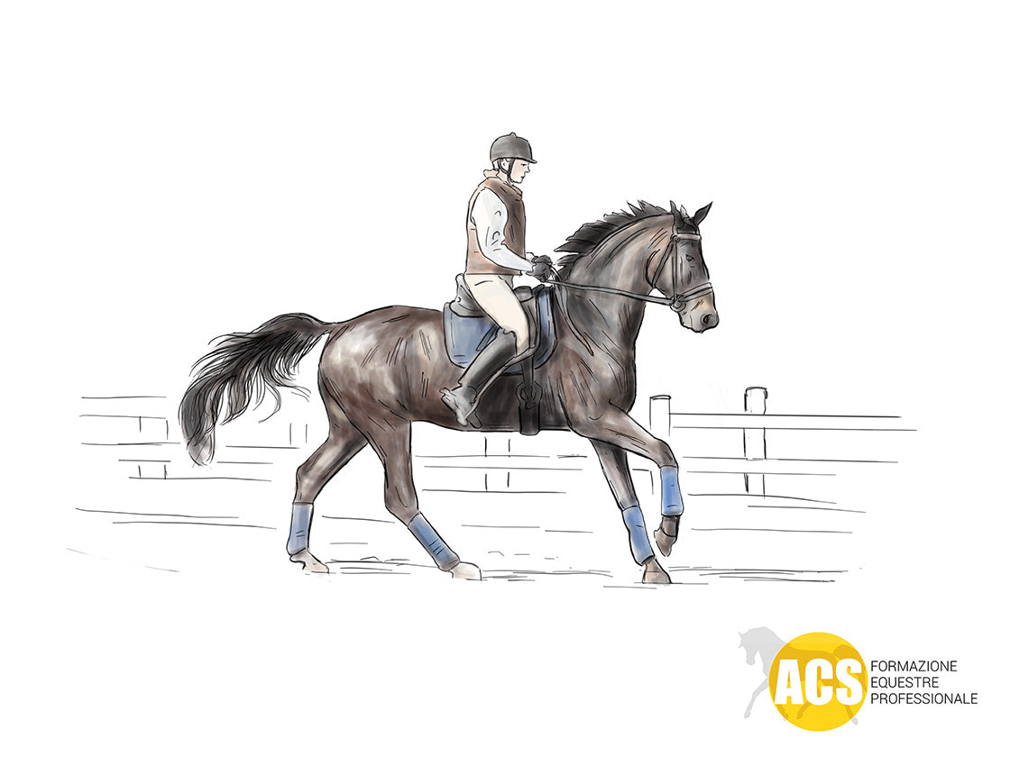 IL MIO CAVALLO FA FATICA A CAMBIARE GALOPPO DA UNA PARTE