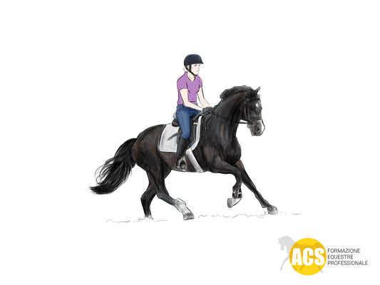 LA PREPARAZIONE ATLETICA DEL CAVALLO SPORTIVO