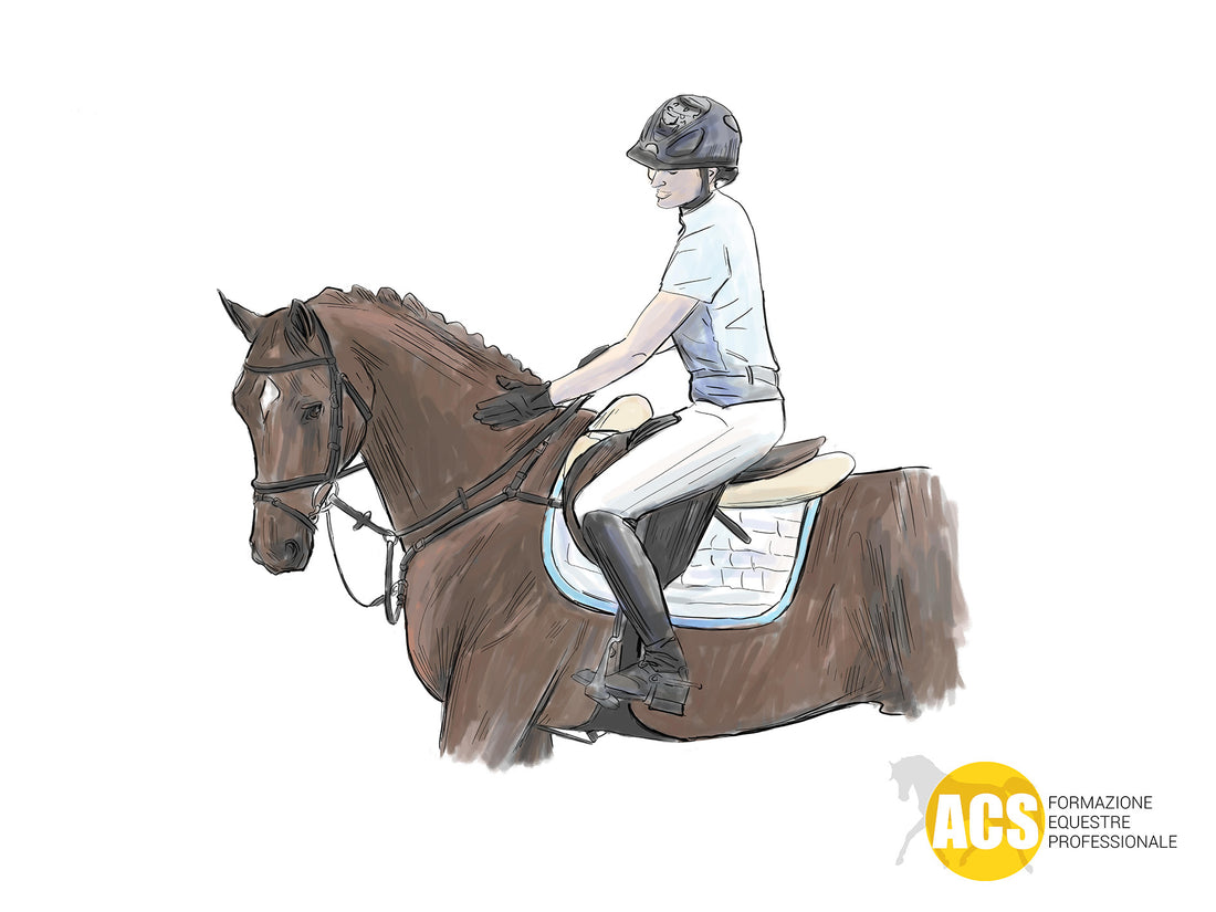 IL CAVALLO DI OGGI (training diaries)