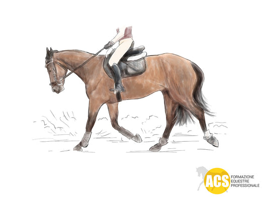 IL CAVALLO PERDE IMPULSO SUL LATO CORTO 🐴