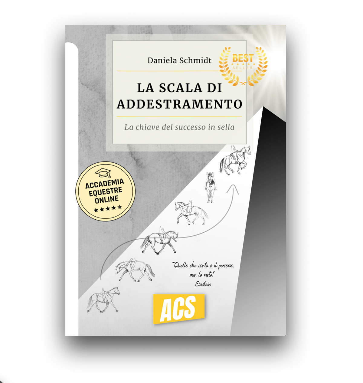 La SCALA DI ADDESTRAMENTO