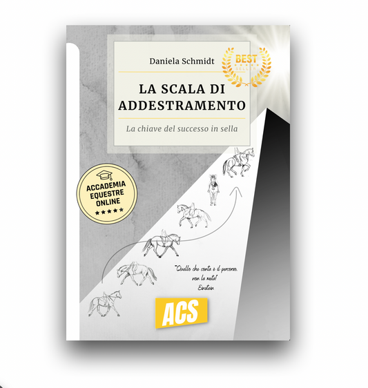 La SCALA DI ADDESTRAMENTO