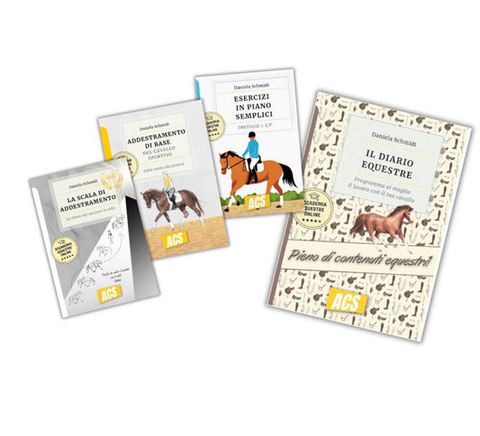 Bundle "intensivo"