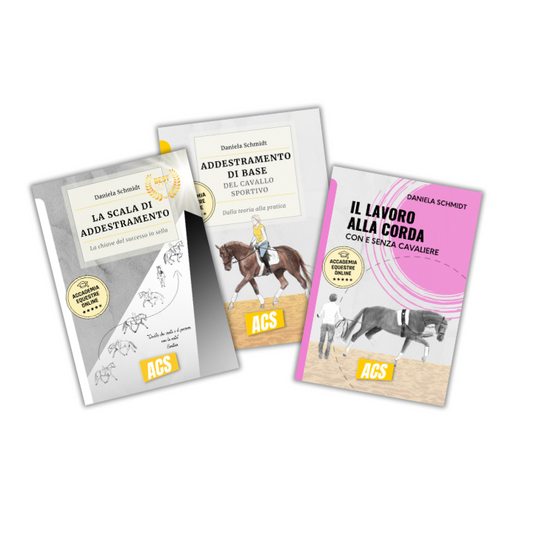 Bundle "classico"
