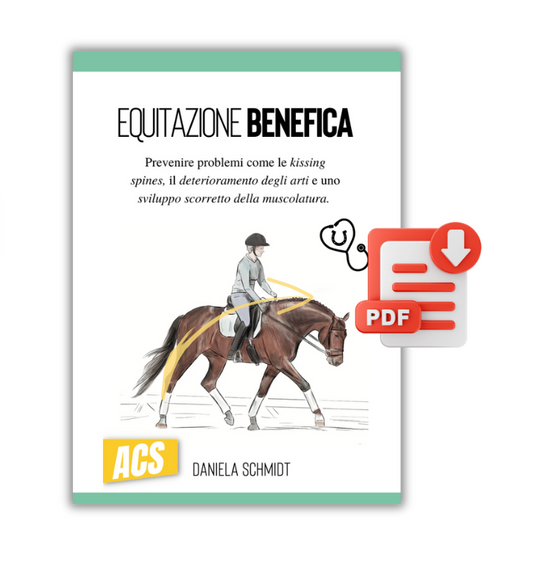 (PDF) EQUITAZIONE BENEFICA - Prevenire problemi con l'allenamento/addestramento funzionale