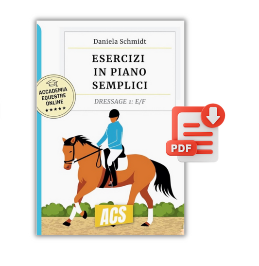 (PDF) ESERCIZI IN PIANO SEMPLICI - Dressage livello E/F
