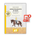 (PDF) L'ADDESTRAMENTO DI BASE DEL CAVALLO SPORTIVO - Dalla teoria alla pratica