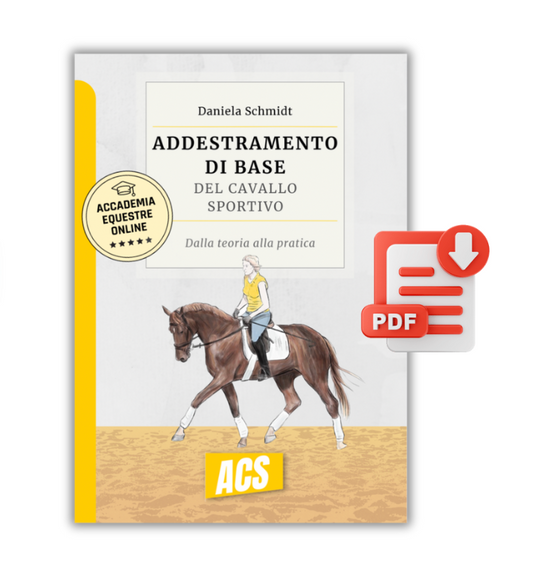 (PDF) L'ADDESTRAMENTO DI BASE DEL CAVALLO SPORTIVO - Dalla teoria alla pratica