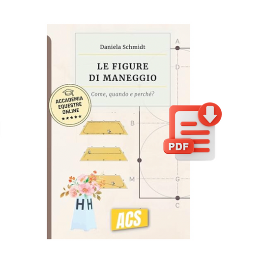 (PDF) - LE FIGURE DI MANEGGIO