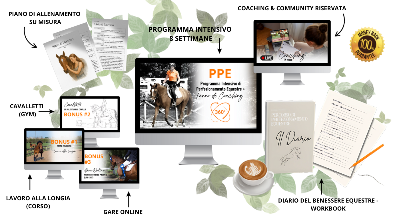 PPE con Coaching