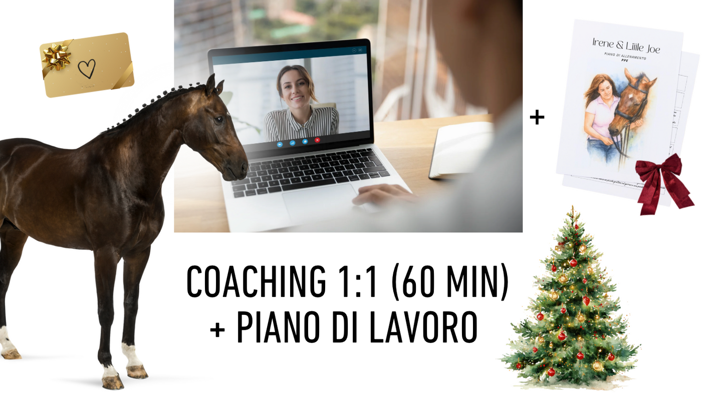 Sessione Coaching 1:1 + Piano di lavoro