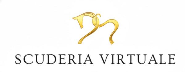 Addestramento del Cavallo Sportivo